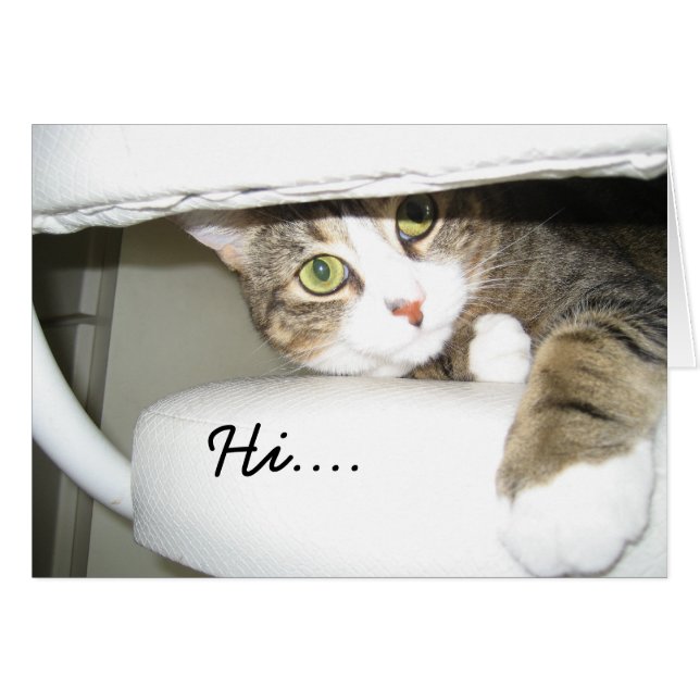 Mimi OBS Kort (Framsidan Horizontal)