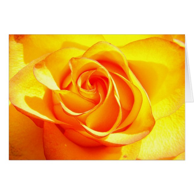 Mimi Ro Hälsningskort (Framsidan Horizontal)