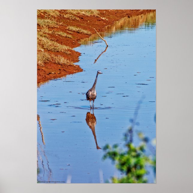 Mimicking Poster (Framsidan)