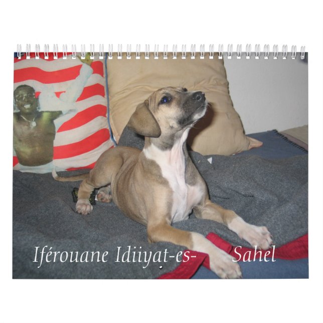 Mimis Zookalender Kalender (Omslag)