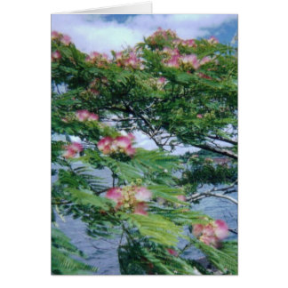 Mimosa blommar och vatten vy hälsningskort