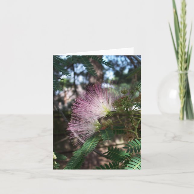 Mimosa Flower Note Card Kort (Framsida)