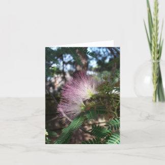 Mimosa Flower Note Card Kort