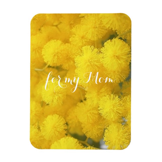 Mimosa. Gula blommor. Magnet (Vertikal)