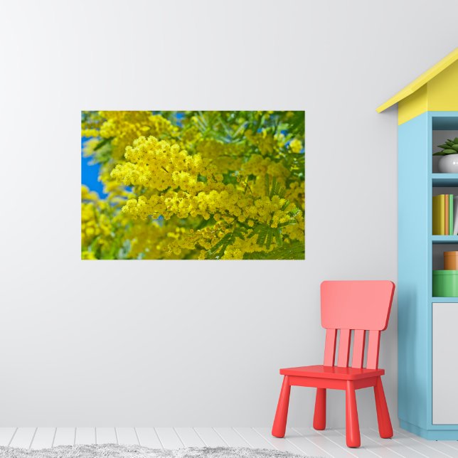 Mimosa Gult Flower Blommigt botaniskt fotografi Poster (Barnkammare 1)