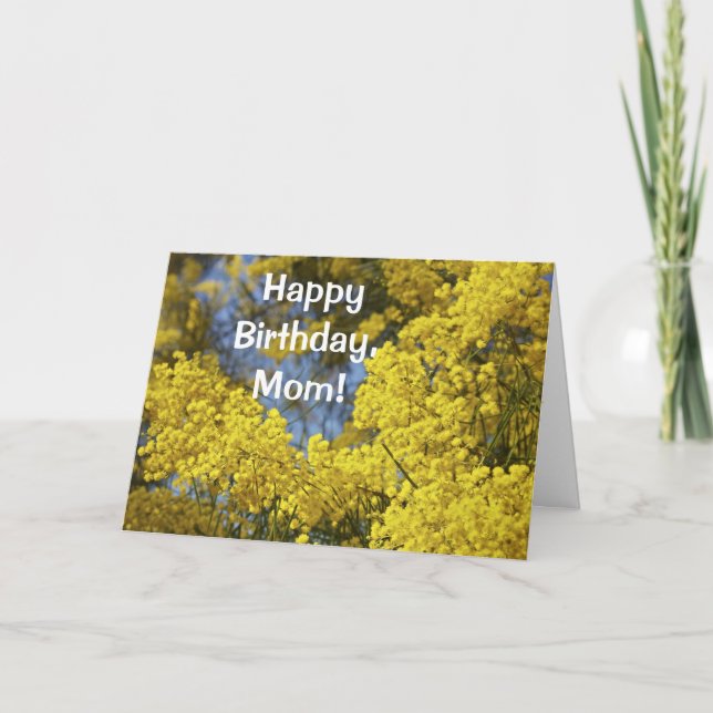 Mimosa i Bloom Grattis på födelsedagen-kortet Kort (Framsida)
