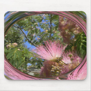 Mimosa.. Musmatta