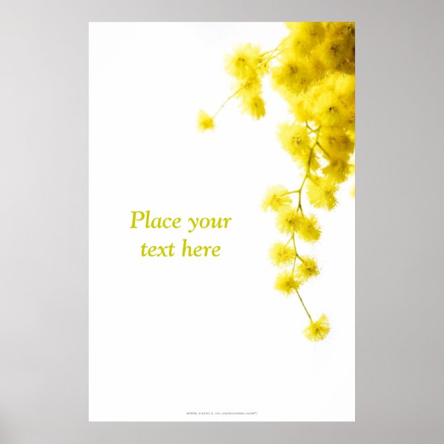 Mimosa Poster (Framsidan)