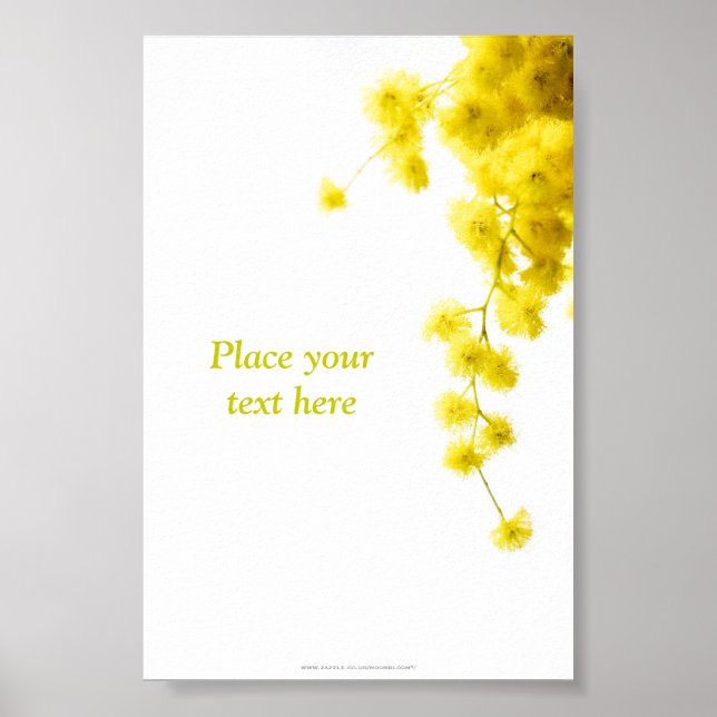 Mimosa Poster (Framsidan)