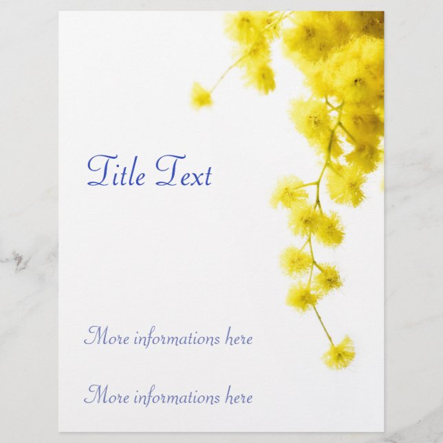 Mimosa Reklamblad (Framsidan)