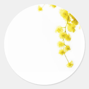 Mimosa Runt Klistermärke