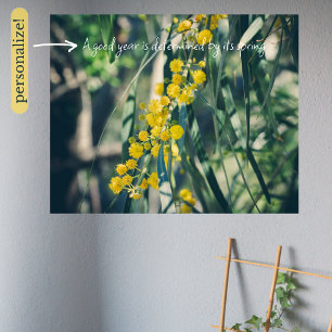 Mimosa Träd med Gula blommor Poster