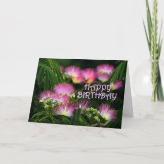 Mimosafödelsedag Kort