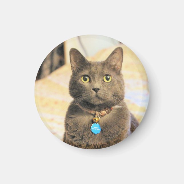 Mims Magnet (Framsidan)