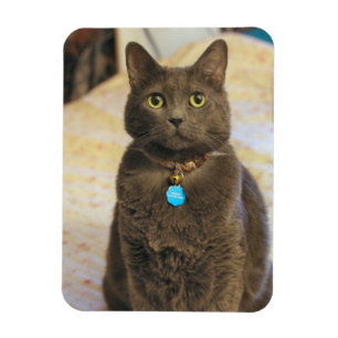 Mims Magnet