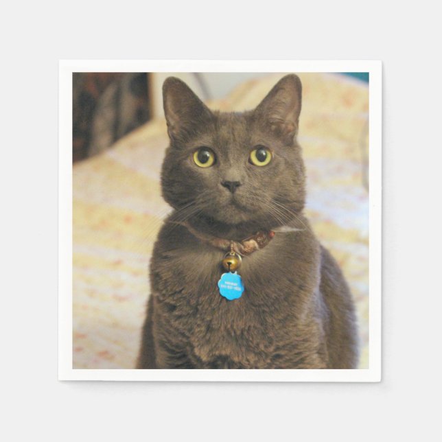 Mims Pappersservett (Framsidan)