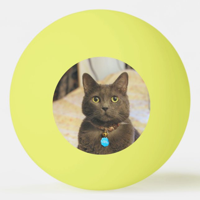 Mims Pingisboll (Framsidan)