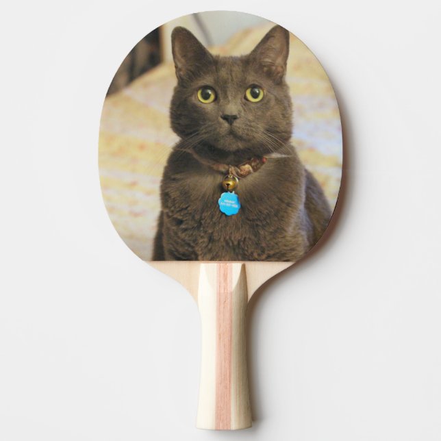 Mims Pingisracket (Framsidan)