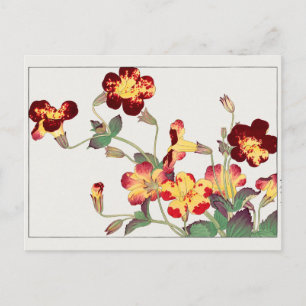 Mimulus luteus av Tanigami Konan Vykort