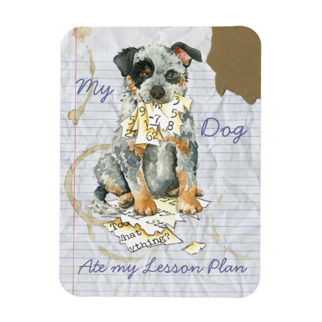 Min ACD Ate My Lesson Plan Magnet (Vertikal)