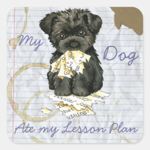Min affenpinscher Ate Min Lesson Plan Fyrkantigt Klistermärke