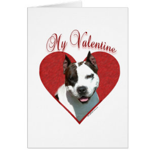 Min AmStaff Valentine Hälsningskort