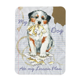 Min Aussie Ate My Lesson Plan Magnet