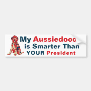 Min aussiedoodle är smartare än din talman bildekal