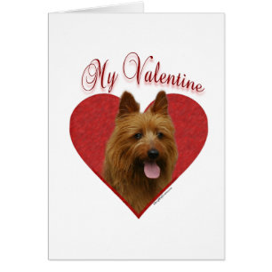 Min Australian Terrier Valentine Hälsningskort