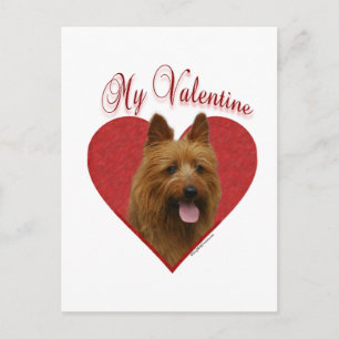Min Australian Terrier Valentine Helg Vykort