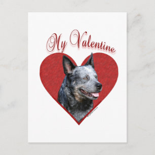 Min australiska Hund Valentine Helg Vykort