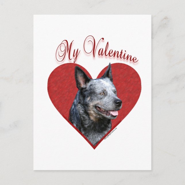 Min australiska Hund Valentine Helg Vykort (Framsida)