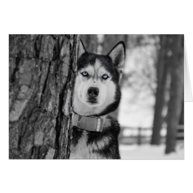 Min Baby blue Öga OBS Kort (Framsidan Horizontal)