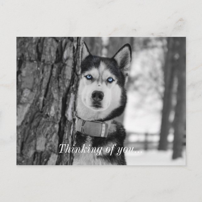 Min Baby blue Ögon tänker på ditt vykort (Framsida)