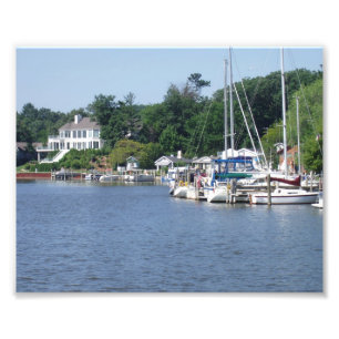 Min Backyard Fototryck