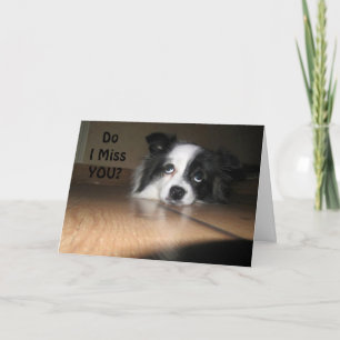 "MIN BARK ÄR FATTIGARE" JAG MISSLYCKAR OSS SÅ MYCK KORT