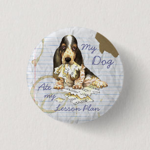 Min Basset Awards Min Lesson-plan Knapp