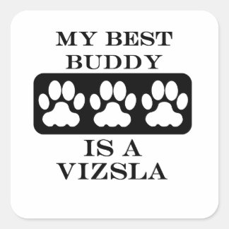Min bästa Buddy är en Vizsla Fyrkantigt Klistermärke