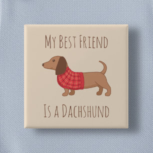 Min bästa vän Dachshund Wiener Hund på Beige Knapp