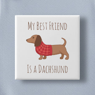 Min bästa vän Dachshund Wiener Hund Red Sweater Knapp