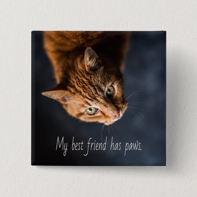 Min bästa vän har tass, Cat Kitten Cute Knapp (Framsida)
