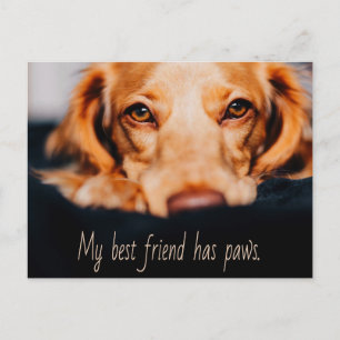 Min bästa vän har tass hund, Puppy Meme Vykort
