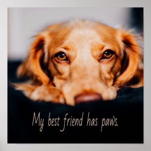 Min bästa vän har tassar hund, marionett PM Poster