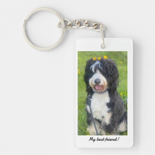 Min bästa vän med Birdie, Bernedoodle (Framsidan)