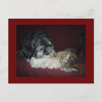 Min bästa vän vykort