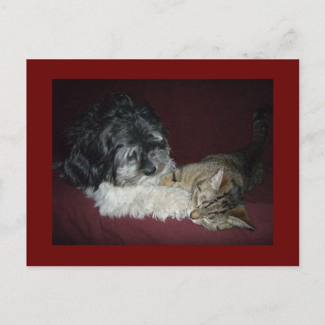 Min bästa vän vykort (Framsida)