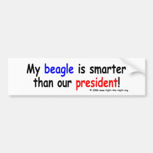 Min Beagle är mer smart än vår president Bildekal
