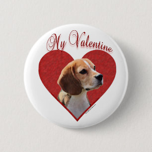 Min Beagle Valentine Knapp