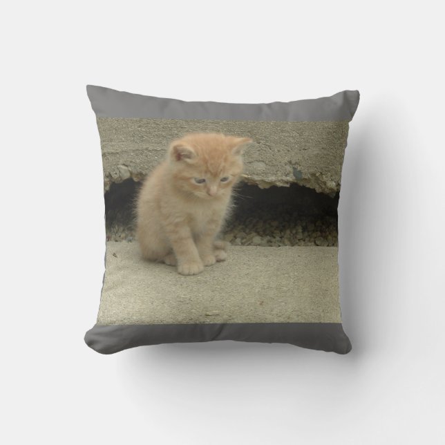 Min bedårande orange tabby kattunge kudde (Framsida)