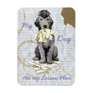 Min Bedlington Terrier AE Mor Lesson Plan Magnet